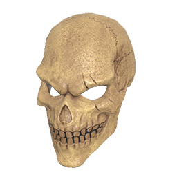 Wasteland Skull Helmet