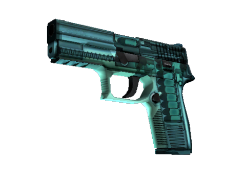 p250 | x 射线 (崭新出厂)