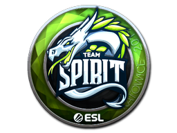 印花 | Team Spirit(闪亮)| 2019年卡托维兹锦标赛_csgo饰品交易-C5game饰品交易平台
